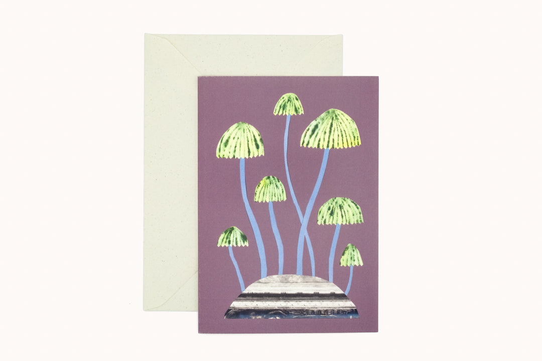 Purple Umbrella Mushroom