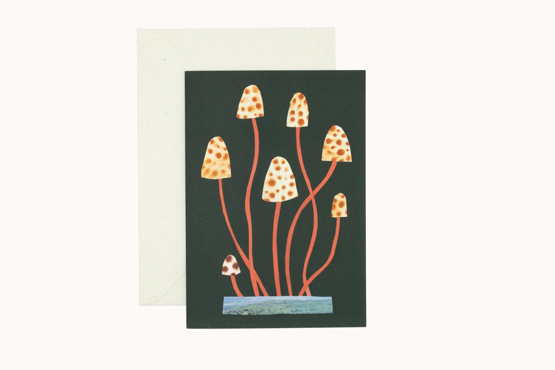 Spotty Mushroom